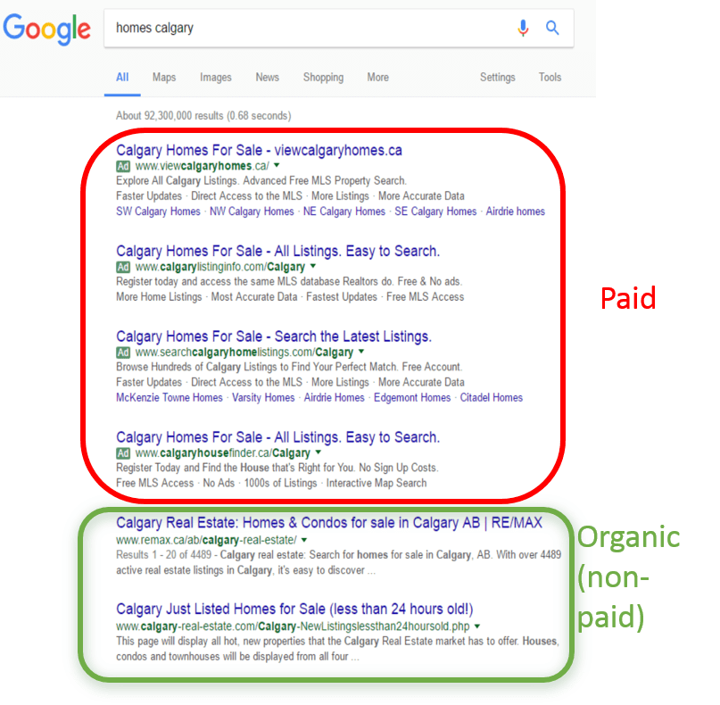 Organic and Paid Google Search Results