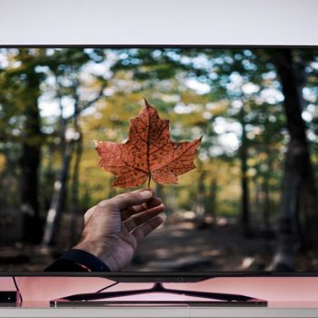 Maple leaf on TV screen